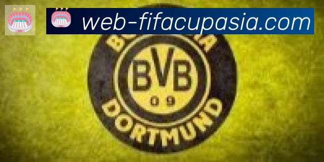 FIFA世界杯数据官方网站合作伙伴